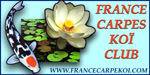 France Carpe Koi Club