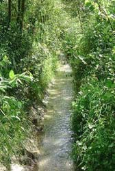 Ruisseau...de 0 à 5 mètres d'eau suivant la pluviométrie